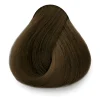DESIGNER COLOR BROWN CHOCOLATE - 6.231 HAZELNUT