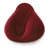 DESIGNER COLOR COLOR BOOSTER - Imagen 8