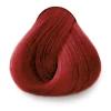 DESIGNER COLOR VIOLET - Imagen 7