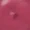 06 BIZCOCHITO